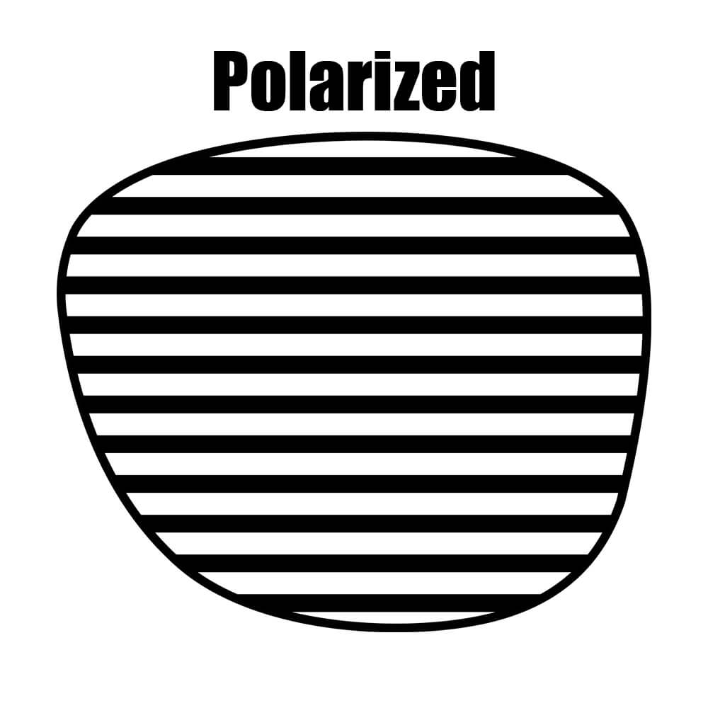 Polarized Lens Upgrade (Eyeguard)